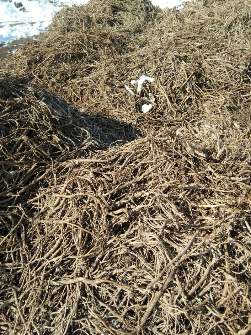 精品黄芪片人工自己种植自产自销无任何添加剂