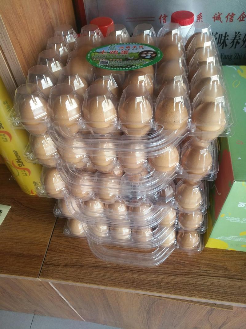 笨鸡蛋60枚包邮当曰现产草原散养鸡蛋源头供货