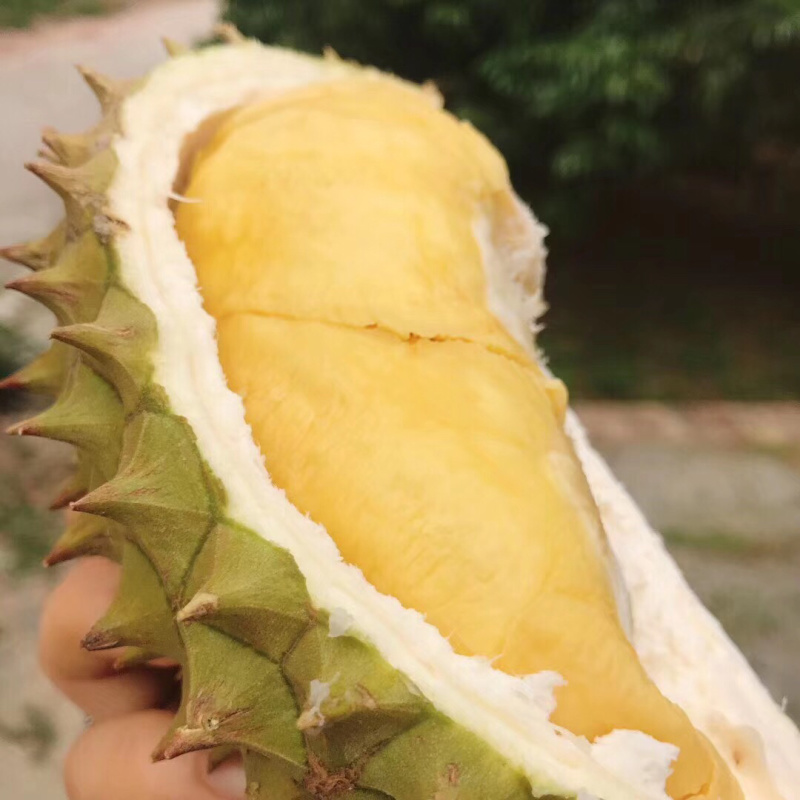 干尧榴莲对接市场批发社区团购电商平台品质保证货源充足