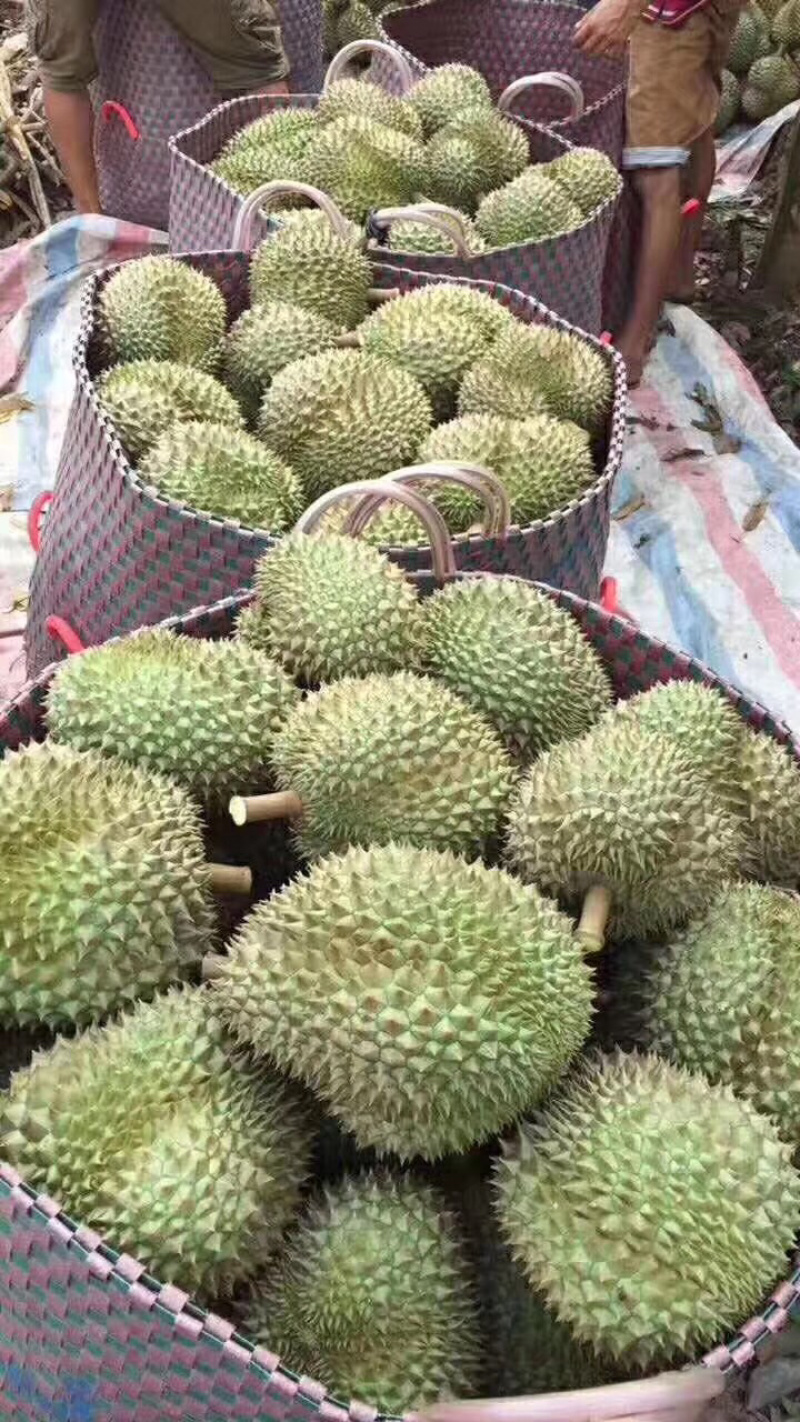 干尧榴莲对接市场批发社区团购电商平台品质保证货源充足