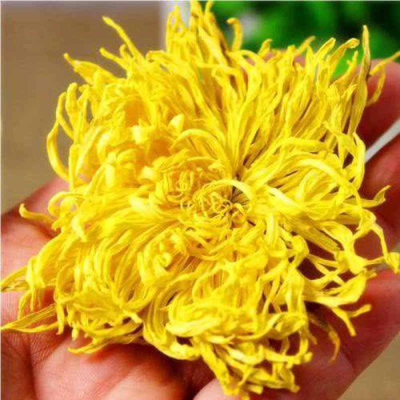 2019头采特级金丝皇菊干花，自家种植个大饱满色正味浓
