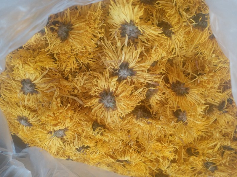 2019头采特级金丝皇菊干花，自家种植个大饱满色正味浓