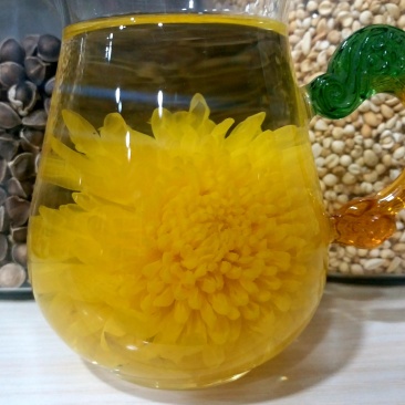 2019头采特级金丝皇菊干花，自家种植个大饱满色正味浓