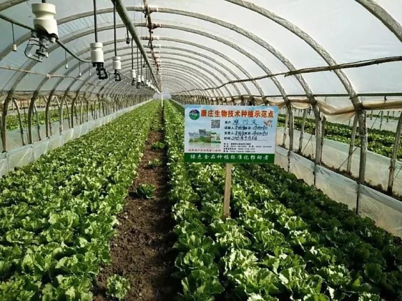 提质增产生物有机肥，40kg/袋，2吨起包邮至县城