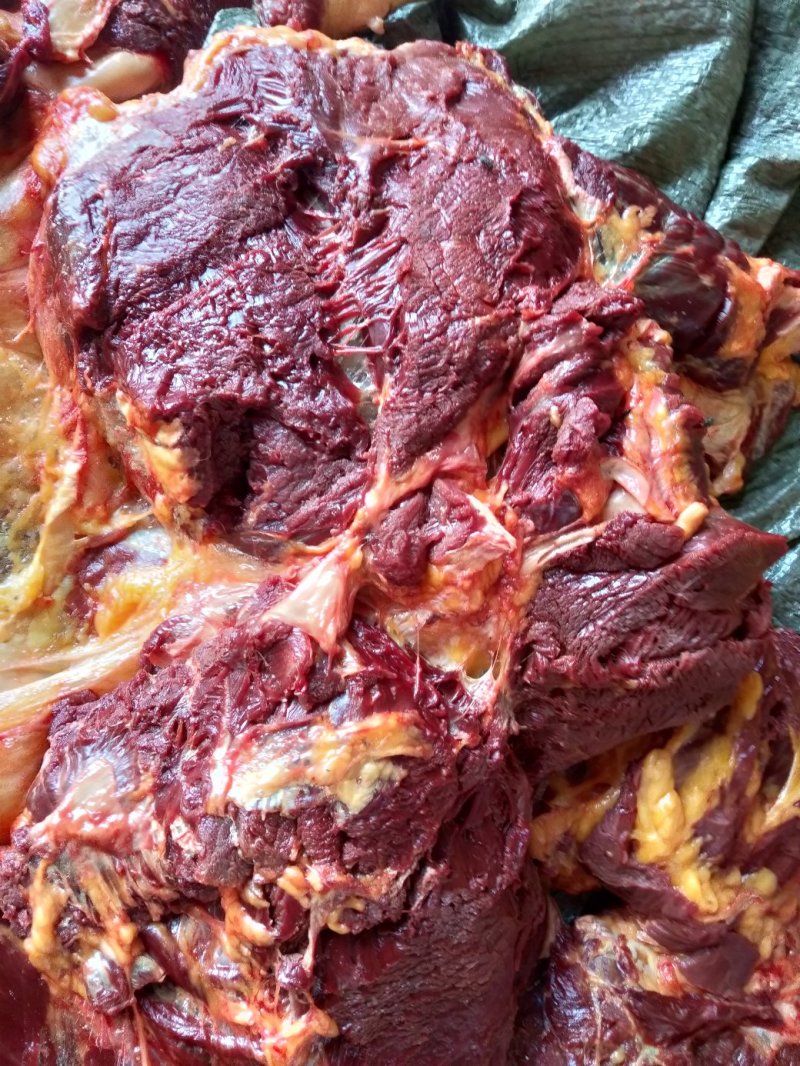 冷鲜带皮马肉，养殖场一手加工