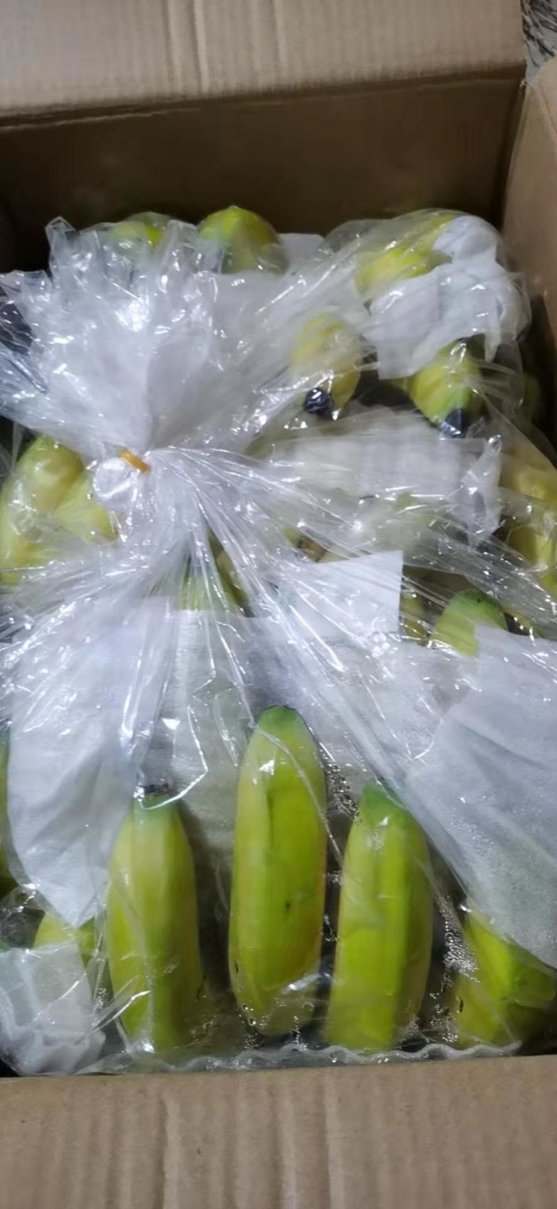 香蕉
