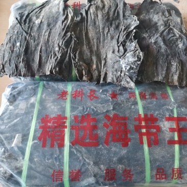 宽厚无沙海带头:深海20公分海带大头.压缩铺平展开