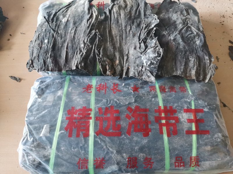 宽厚无沙海带头：深海20公分海带大头.压缩铺平展开