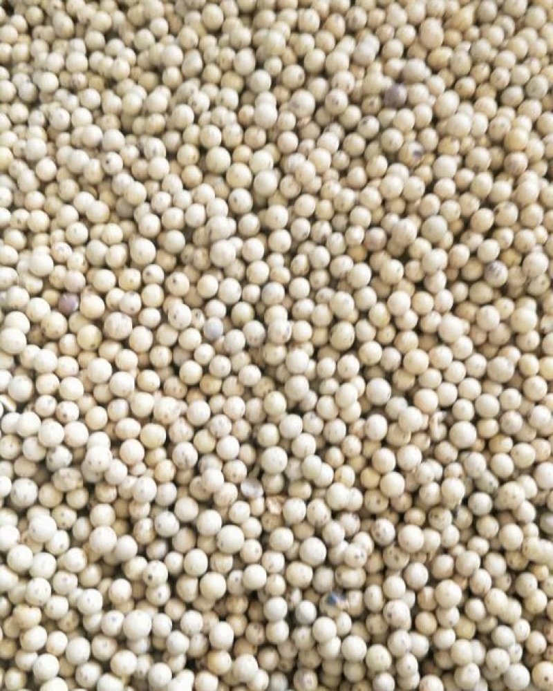 豆饼肥油枯熟榨豆饼量大常年有货