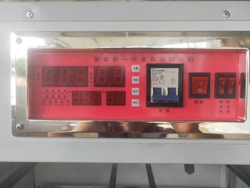 孵化器配件孵化机专用智能控温器微电脑控温仪