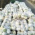 【品质】湖北省天门市，基地货，花耶菜散菜花，结花大量上市