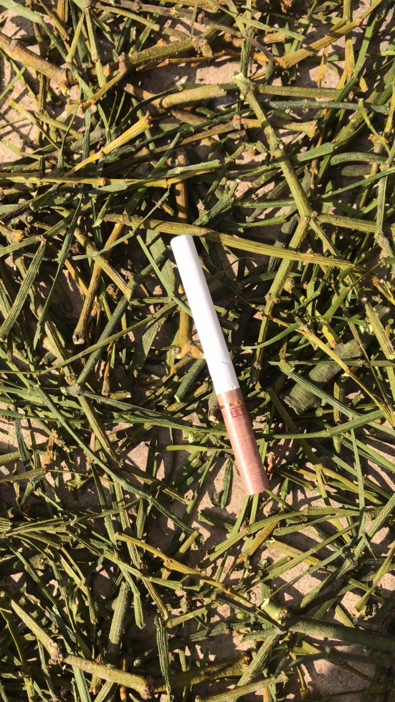 寄生，云南野生绿寄生，螃蟹脚，量大从优，20斤包邮！