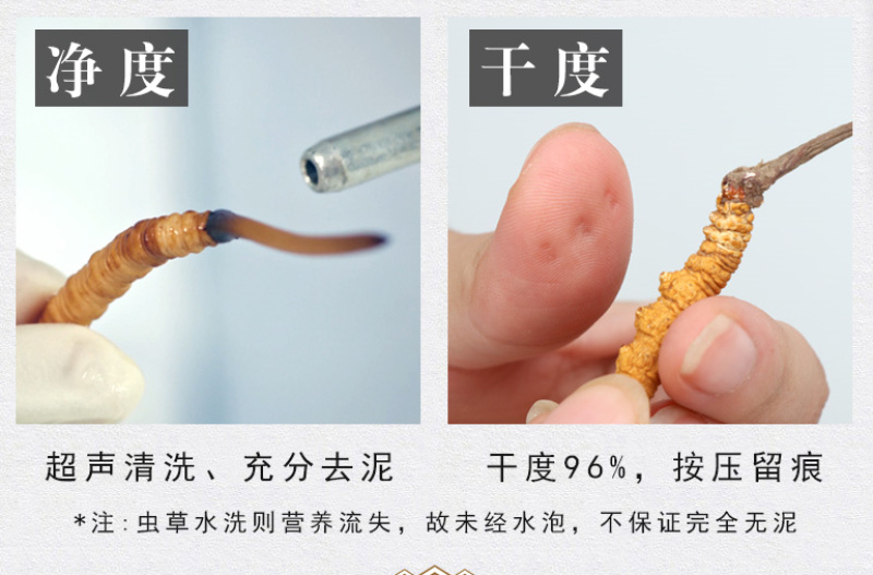 西藏野生冬虫夏草包邮