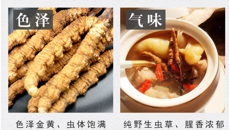 西藏野生冬虫夏草包邮