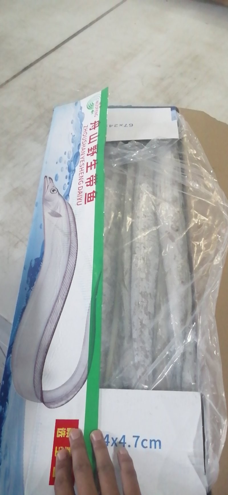 舟山刀鱼10斤