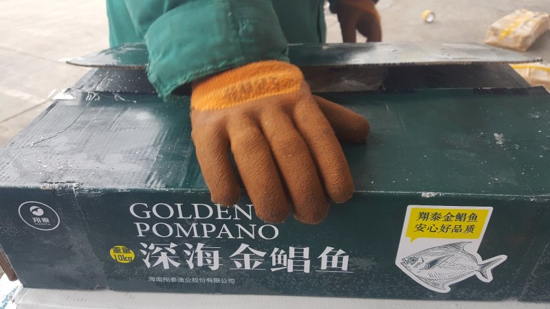 国产金鲳鱼鲳鱼单冻独立包装单冻金鲳常年供货常年供货