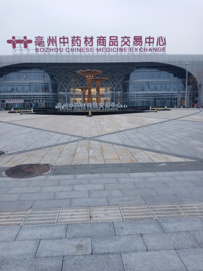 牡丹，花。牡丹花花牡丹