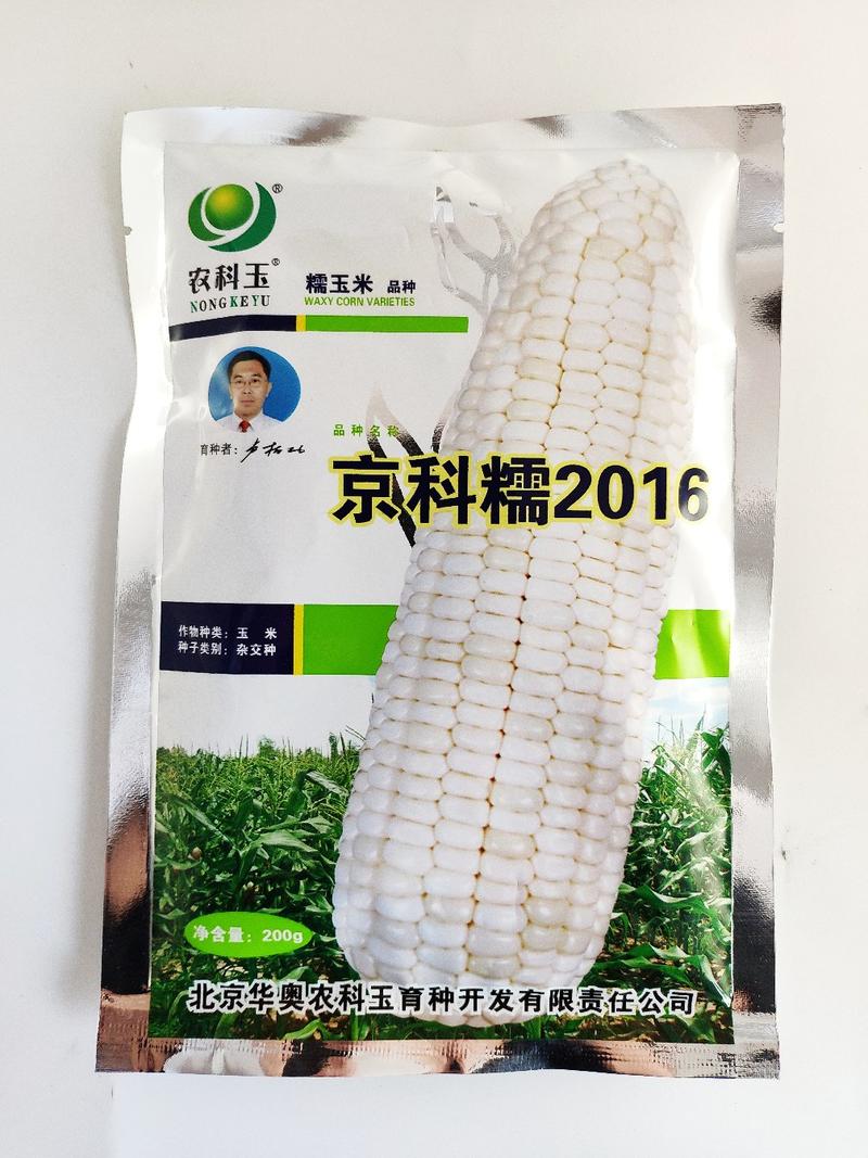 农科玉368白甜糯玉米种籽可线上交易原装发货200克