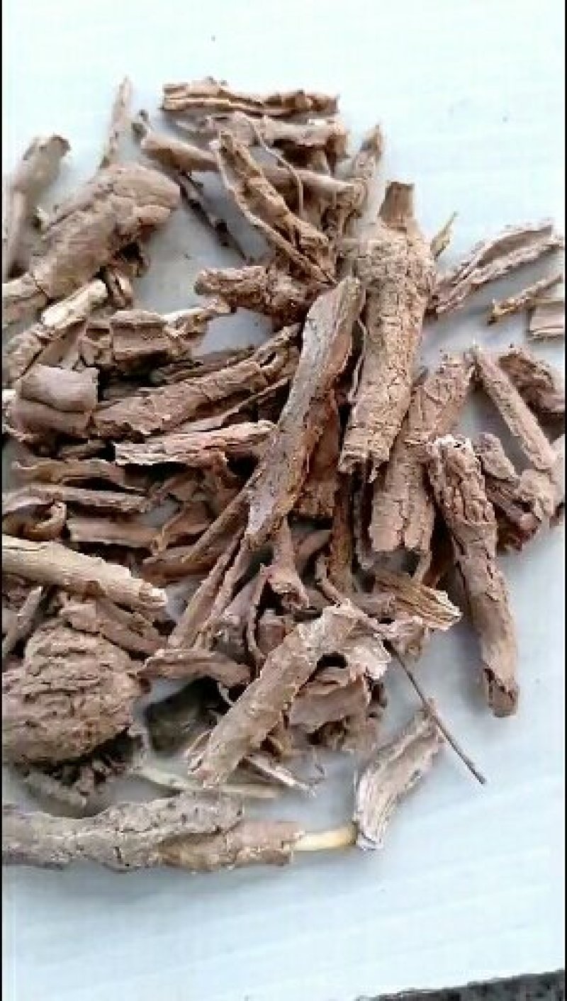 地骨皮千余品种供应承接订单