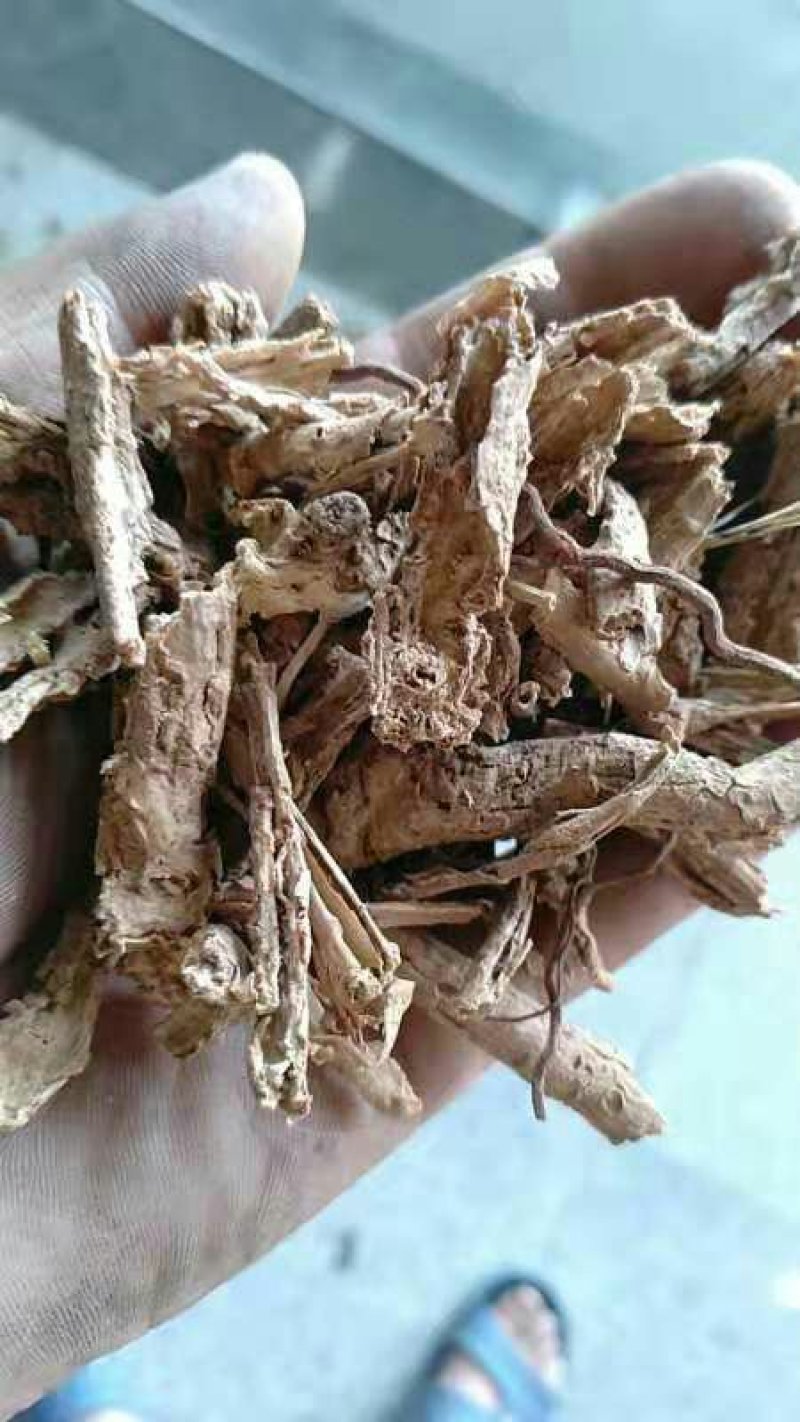 地骨皮千余品种供应承接订单