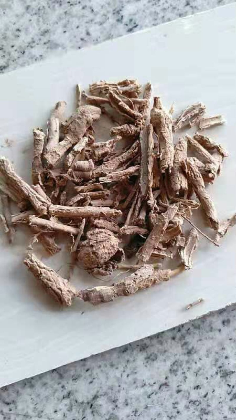 地骨皮千余品种供应承接订单
