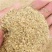 供应米糠小米糠高蛋白高脂肪小米糠粉牛羊饲料