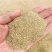 供应米糠小米糠高蛋白高脂肪小米糠粉牛羊饲料