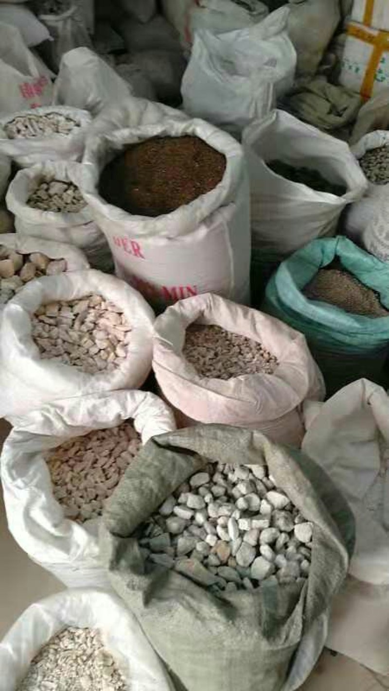 三白草根千余品种供应承接订单