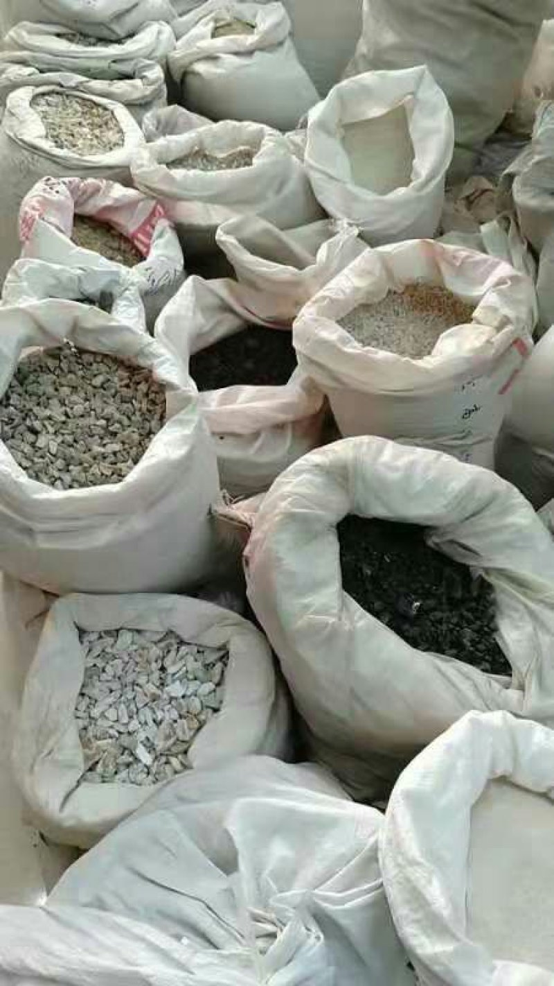 三白草根千余品种供应承接订单