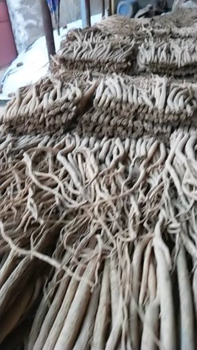无硫农家大当归正在热销中，自家种植一手货源，能保质保量，