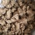 无硫岷当归头，产生于甘肃高寒山区，霜降时节采挖，