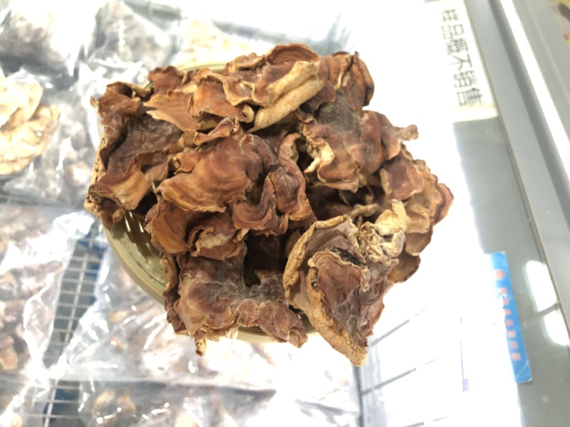 优质榆耳菌，朵大形优美