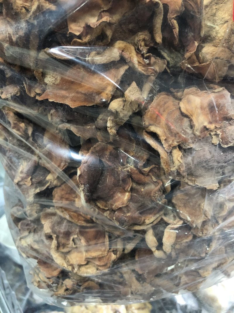 优质榆耳菌，朵大形优美