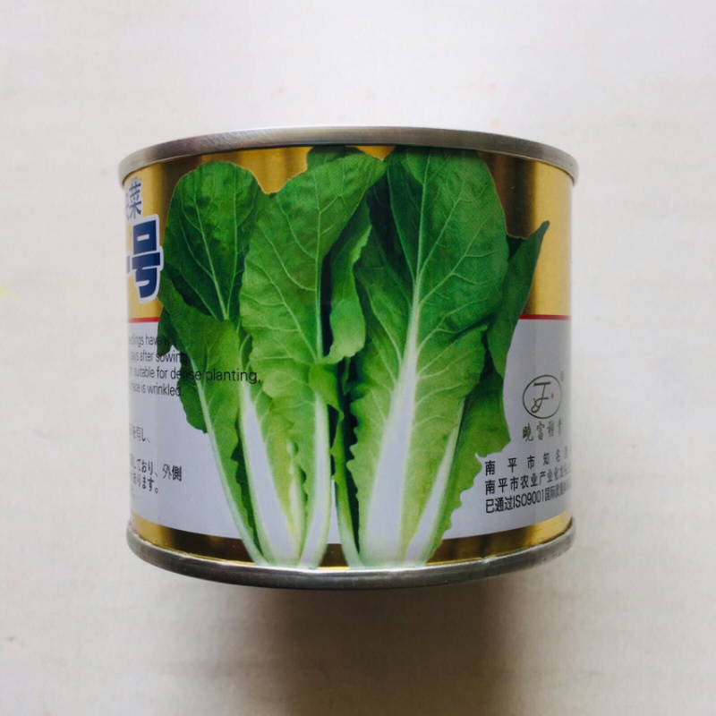 北海道一号快菜种子结球白菜小白菜种籽外叶淡绿耐热耐湿