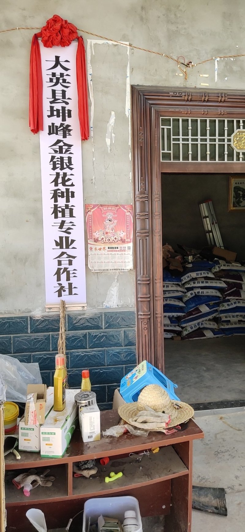 四川基地金银花苗，上门技术指导，两年回本并且盈利
