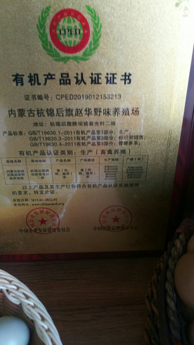 草原湖笨鹅现购现宰真空塑封两只起拍400斤包邮
