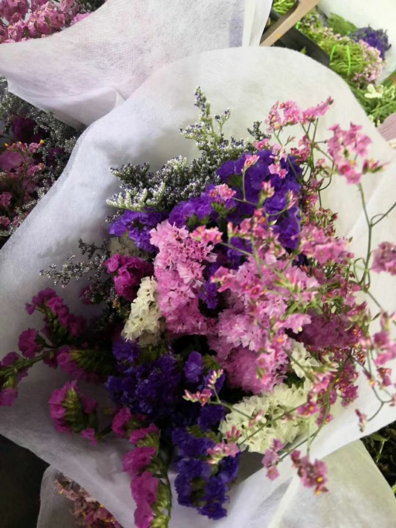 勿忘我云南基地直发批发一件代发社区团购摆地摊家庭插花每周