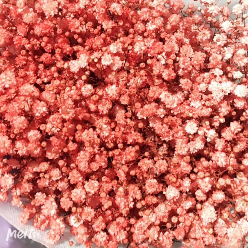 白色满天星昆明斗南直发代办代拍各类鲜花批发支持一件代发