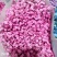 白色满天星昆明斗南直发代办代拍各类鲜花批发支持一件代发