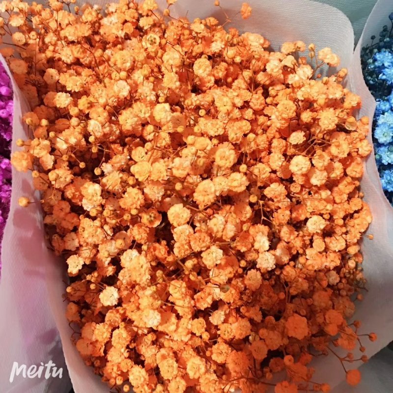 白色满天星昆明斗南直发代办代拍各类鲜花批发支持一件代发