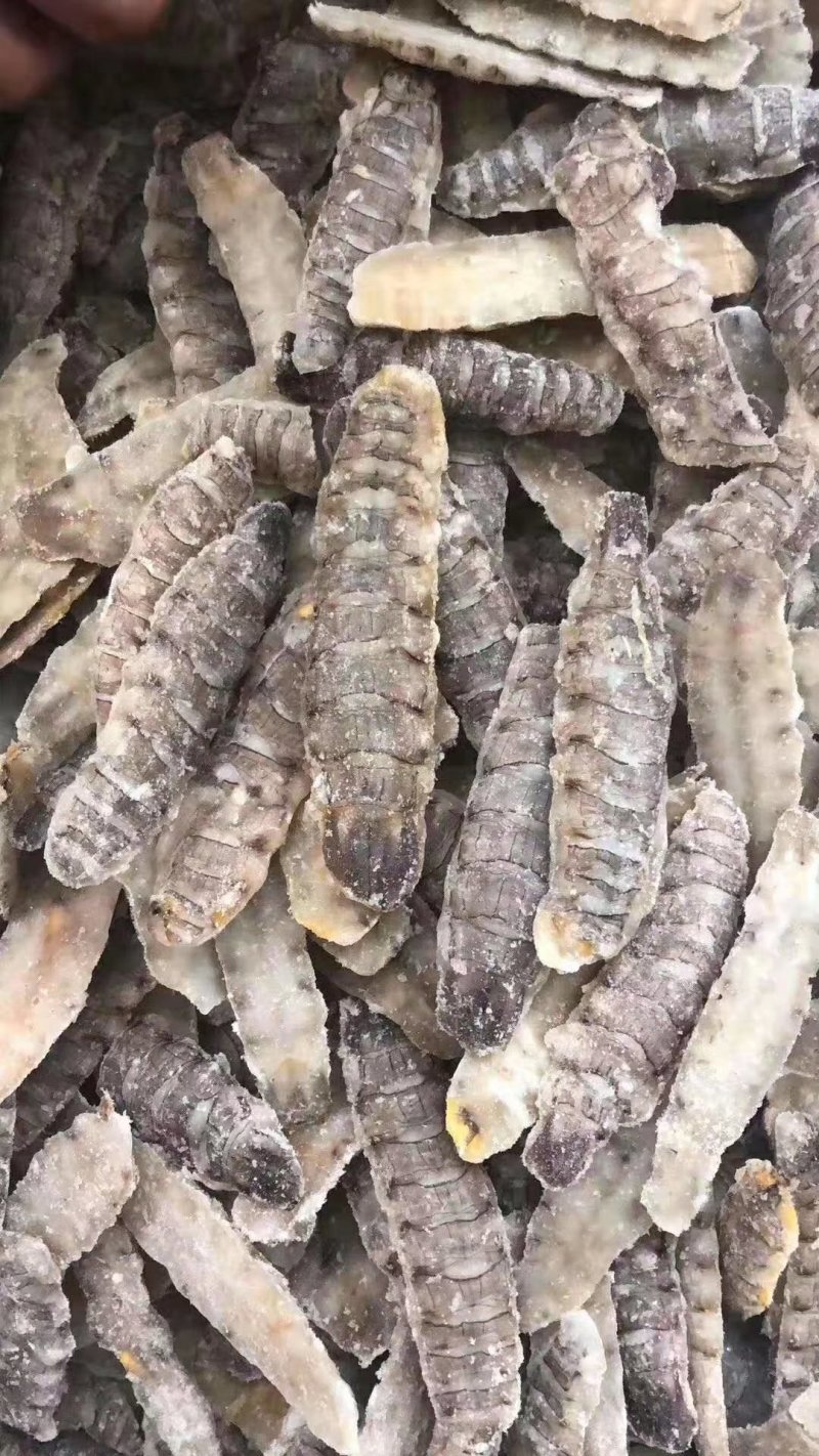 熟冻皮皮虾肉（40斤件）质量保证。冷链物流全国配送。