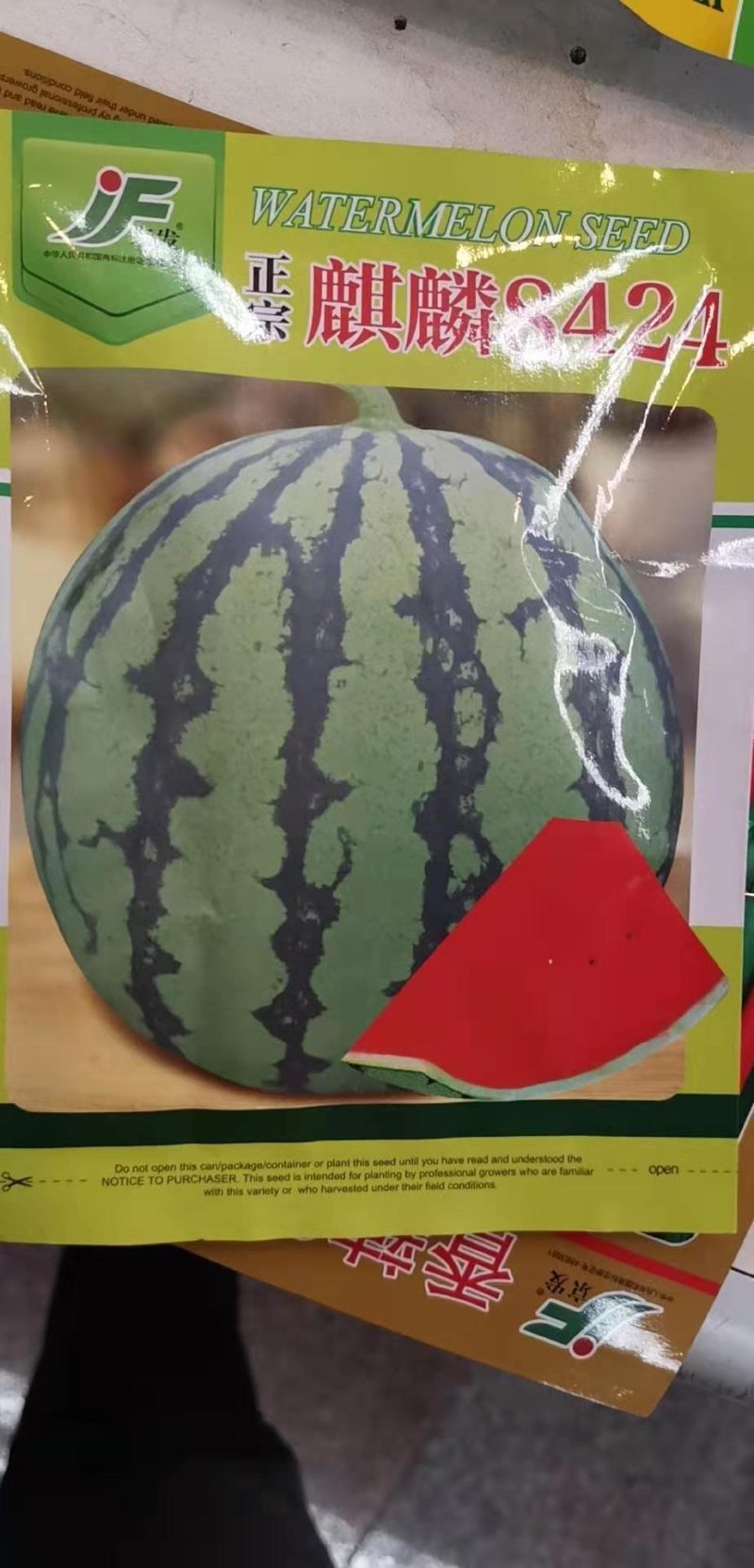 西瓜种子改良8424种子美都