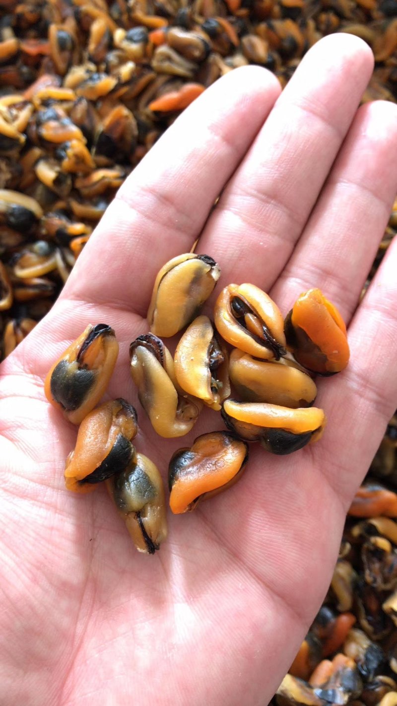 特级美味又营养又实惠淡菜干