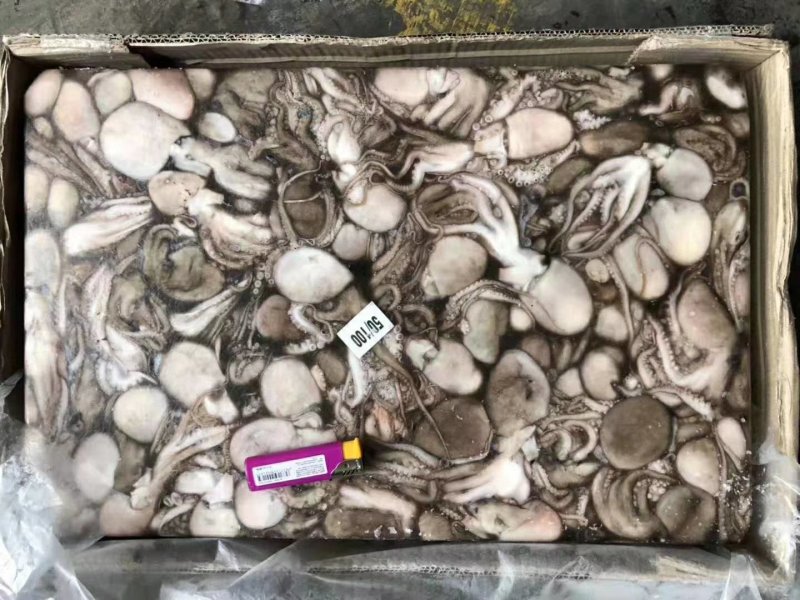 八爪鱼。船冻品质。冷链物流全国配送。