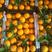 脐橙，湖北秭归县脐橙产地热销！品种多支持视频看货！