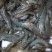 基围虾新鲜大虾冷冻盐水大虾整箱海虾基围虾一箱大冻