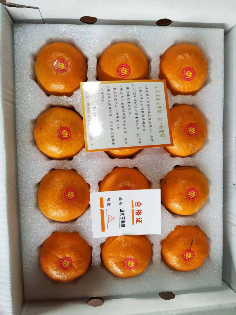 浙江临海涌泉蜜桔山果