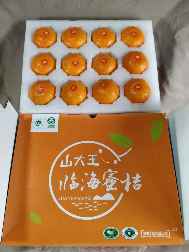 浙江临海涌泉蜜桔山果