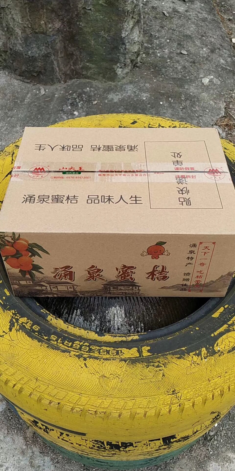 浙江临海涌泉蜜桔山果