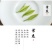 白茶正宗安吉2020年新茶叶礼盒装250g有好货一件代发